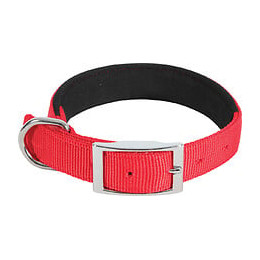 Collier nylon conf 40cm-20mm rouge pour chien