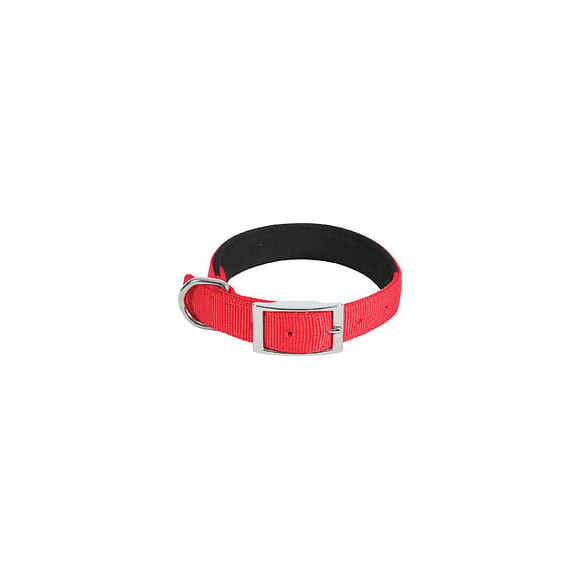 Collier nylon conf 40cm-20mm rouge pour chien