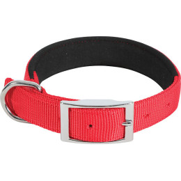 Collier nylon conf 40cm-20mm rouge pour chien