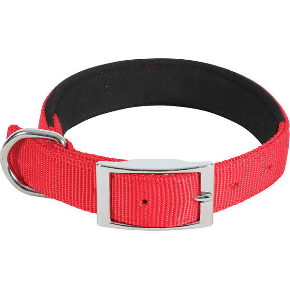 Collier nylon conf 40cm-20mm rouge pour chien