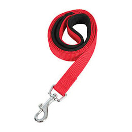 Laisse nylon confort 1m-25mm rouge