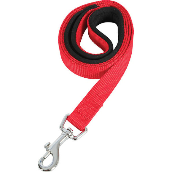 Laisse nylon confort 1m-25mm rouge