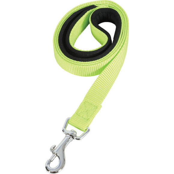 Laisse nylon conf 1m-20mm ani pour chien