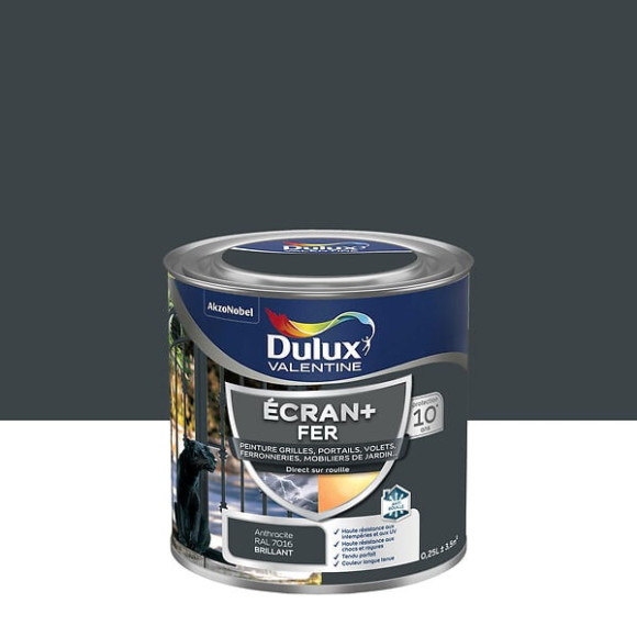 Peinture extérieure Fer Ecran+ Dulux Valentine Bril-G.Anthracite 025L