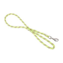 Laisse nylon corde 120m ani pour chien