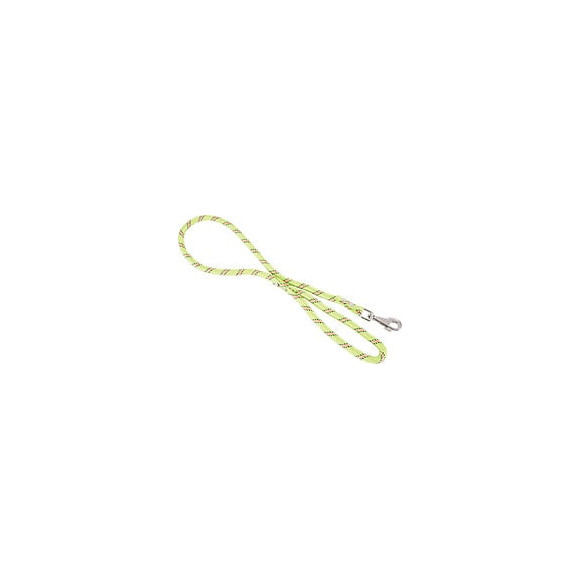 Laisse nylon corde 120m ani pour chien