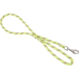 Laisse nylon corde 120m ani pour chien