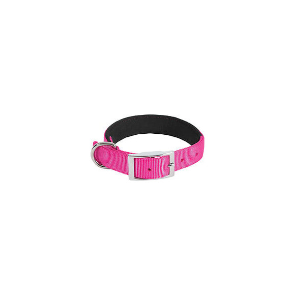 Collier nylon conf 40cm-20mm fus pour chien