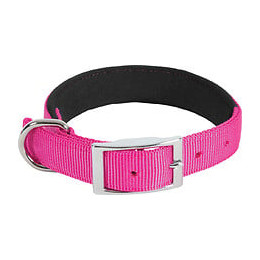 Collier nylon conf 40cm-20mm fus pour chien