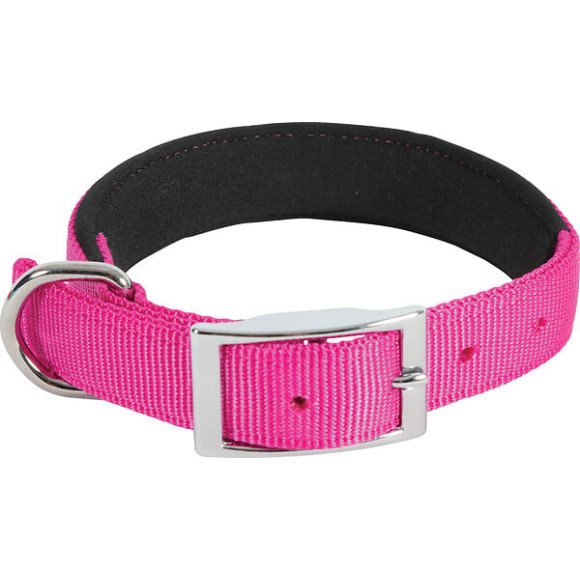 Collier nylon conf 40cm-20mm fus pour chien