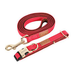 laisse imao mayf 15mm - 1.2m rge pour chien