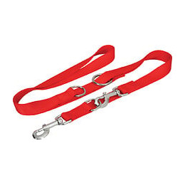 Laisse nylon 3 pos. 25mm rouge pour chien