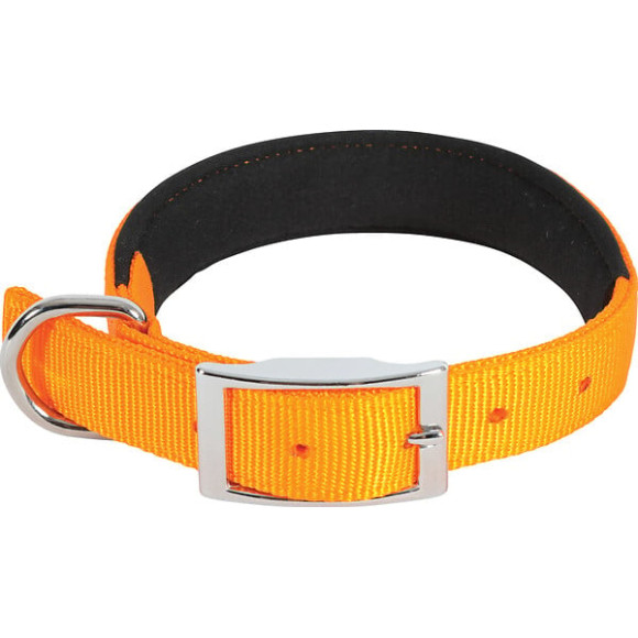 Collier nylon conf 40cm-20mm ora pour chien