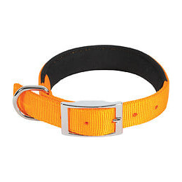 Collier nylon conf 60cm-25mm ora pour chien