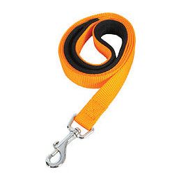 Laisse nylon conf 1m-20mm ora pour chien