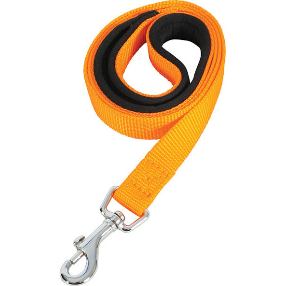 Laisse nylon confort 1m-25mm orange