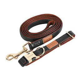 laisse imao mayf 15mm - 1.2m noi pour chien