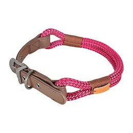 Collier reglable imao hyd 6mm - 40cm fus pour chien