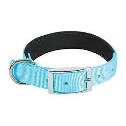 Collier nylon conf 40cm-20mm tur pour chien