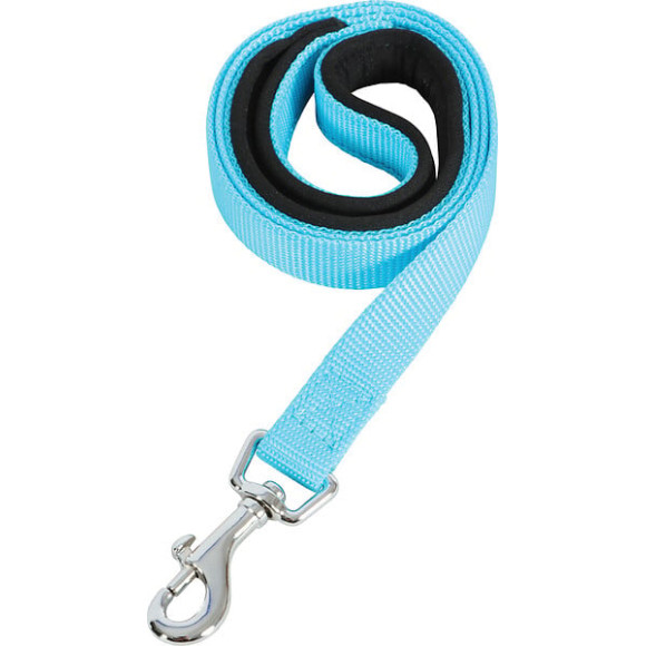 Laisse nylon confort 1m-25mm turquoise