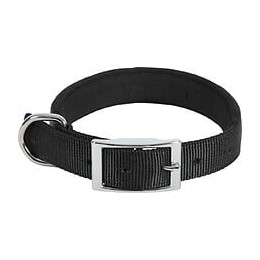 Collier nylon conf 40cm-20mm noi pour chien