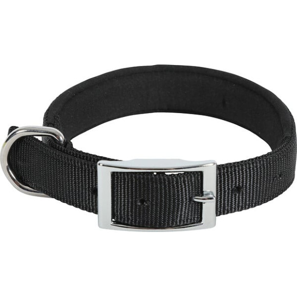 Collier nylon conf 40cm-20mm noi pour chien