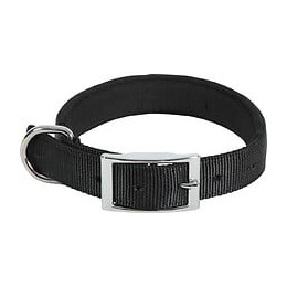 Collier nylon conf 50cm-25mm noi pour chien