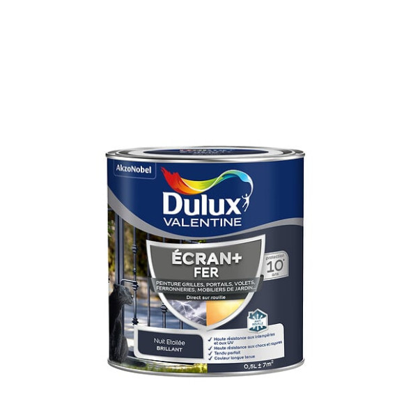 Peinture extérieure Fer Ecran+ Dulux Valentine Brill-Nuit Etoilée 05L