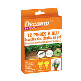 Piege glu contre les insectespour plantes en pot