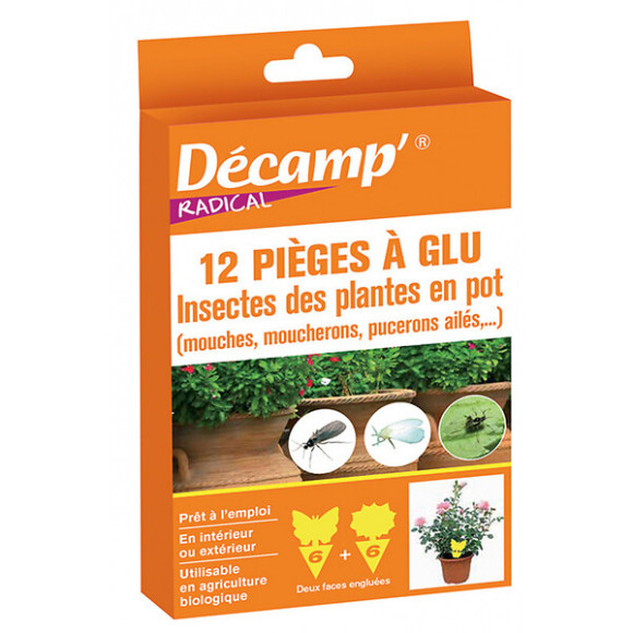 Piege glu contre les insectespour plantes en pot