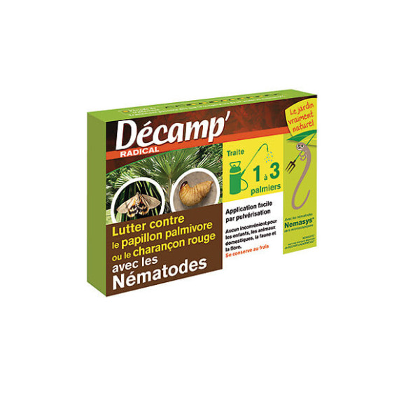 Nematodes papillon du palmier1 a 3 palmiers packs frais