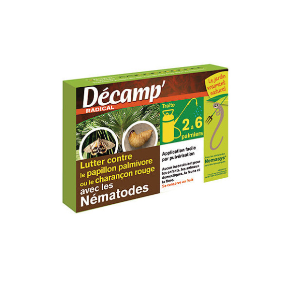 Nématodes papillon du palmier 2 a 6 palmiers packs frais