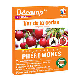 Ver de la cerise-rhagoletis cerasi 2 capsules