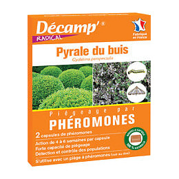 Pyrale du buis 2 capsules