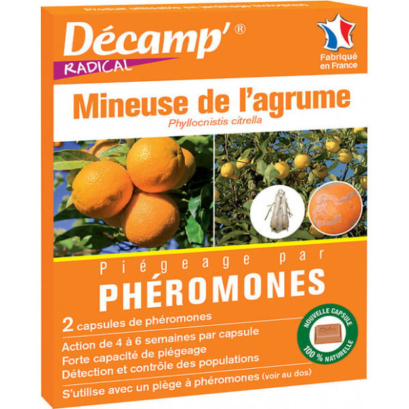 Phéromones contre mineuse de l'agrume