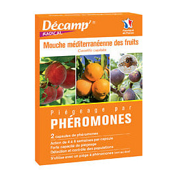 MOUCHE MEDITERRANEENNE FRUITS2 caps - DECAMP'RADICAL