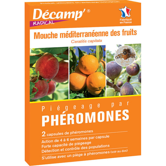 MOUCHE MEDITERRANEENNE FRUITS2 caps - DECAMP'RADICAL