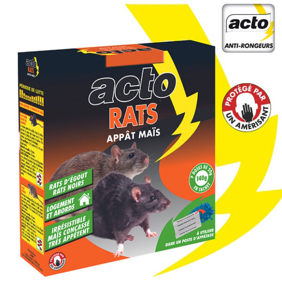 Appât maïs rats