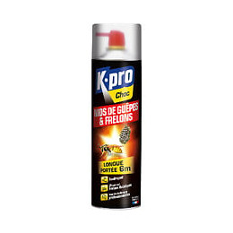 Insecticide Tous insectes Aérosol 200ml