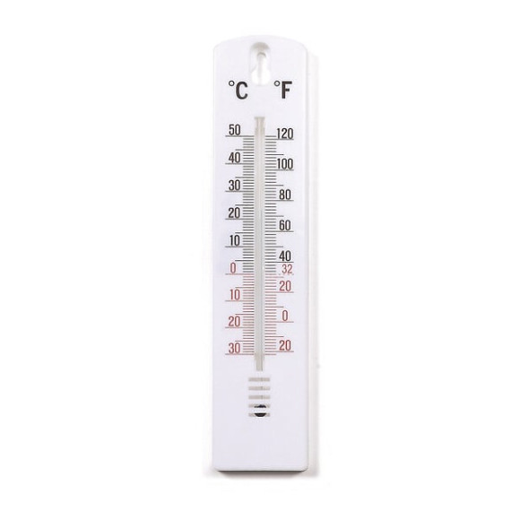 Thermomètre 10009 plastique blanc 20cm