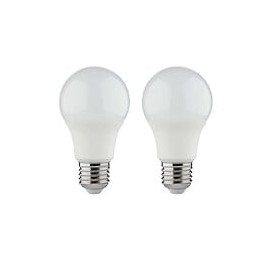 Ampoule LED XXCELL Standard - E27 équivalent 100W x2