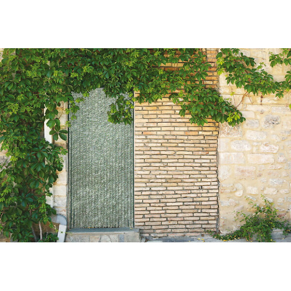 Rideau de porte chenilles Flash C 119 90x220 cm