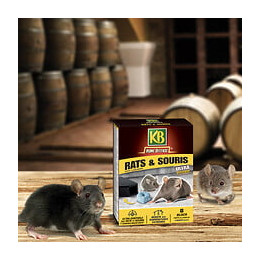 Blocs anti rats et souris 200gr