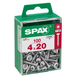 Lot De 100 Vis Acier Tête Ronde Torx Spax Diam.4 Mm X L.20 Mm