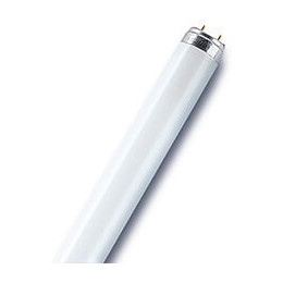 Tube fluorescent droit T8 opaque 950 Lm  70 W blanc OSRAM