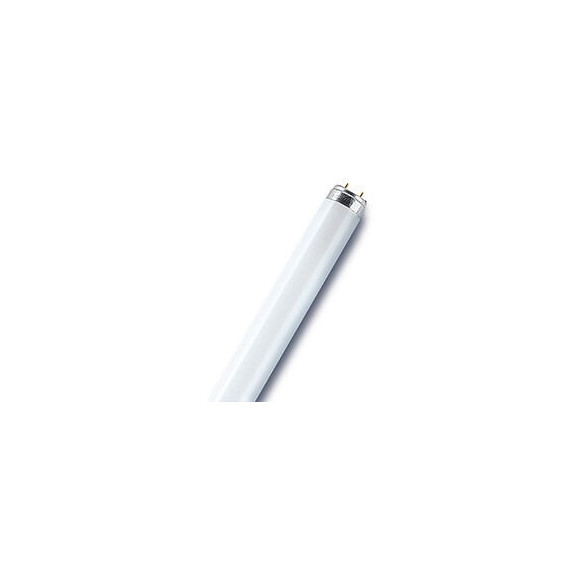 Tube fluorescent droit T8 opaque 950 Lm  70 W blanc OSRAM