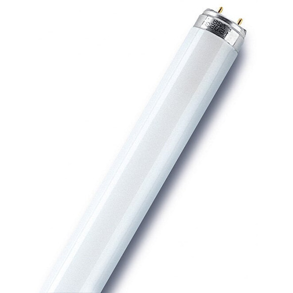 Tube fluorescent droit T8 opaque 950 Lm  70 W blanc OSRAM