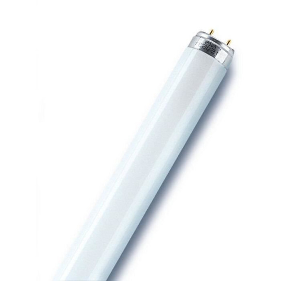 Tube fluorescent droit T8 opaque 950 Lm  70 W blanc OSRAM