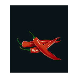 Fond de hotte en verre trempé Hot Peperoni - l60xH70cm