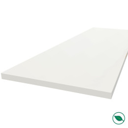 Plan de travail stratifié HPL blanc 3000 x 650 x 38 mm FSC